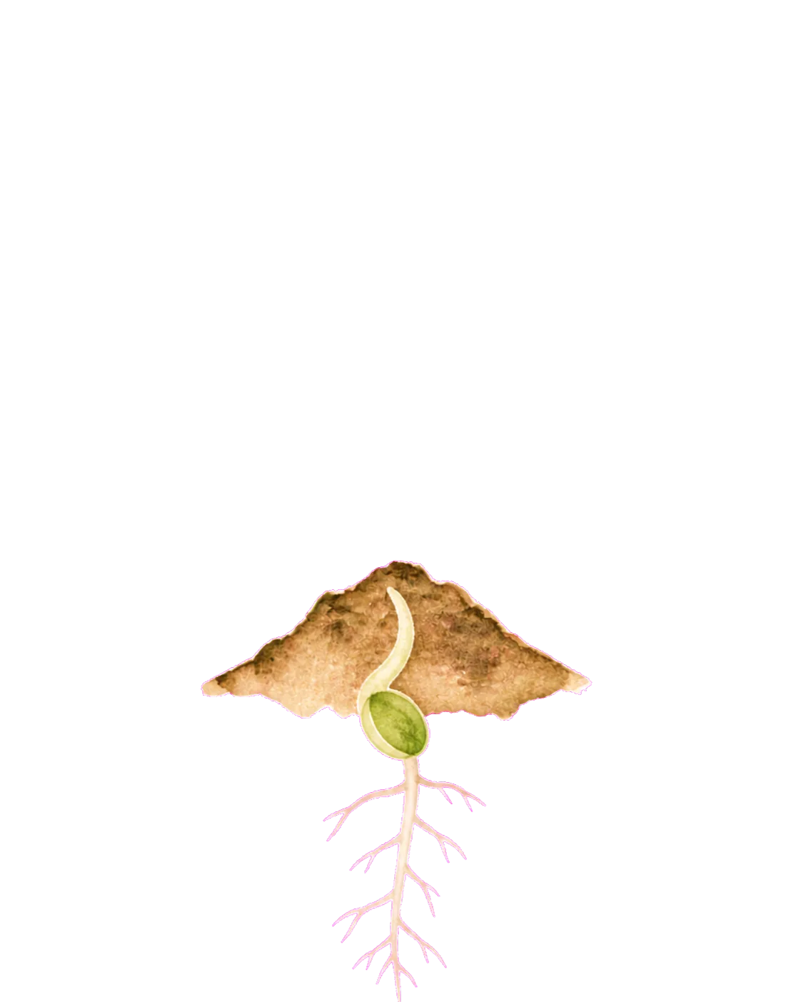 めばえの水彩イラスト