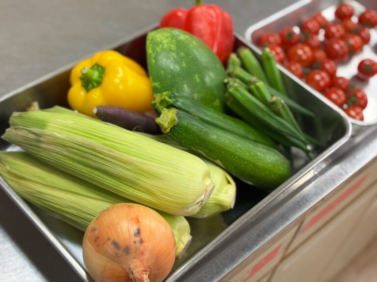 夏野菜にふれる子どもたち